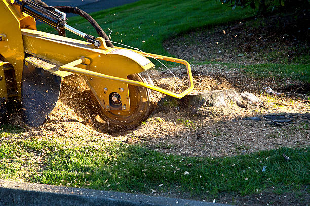 Mulching Services in Hapeville, GA